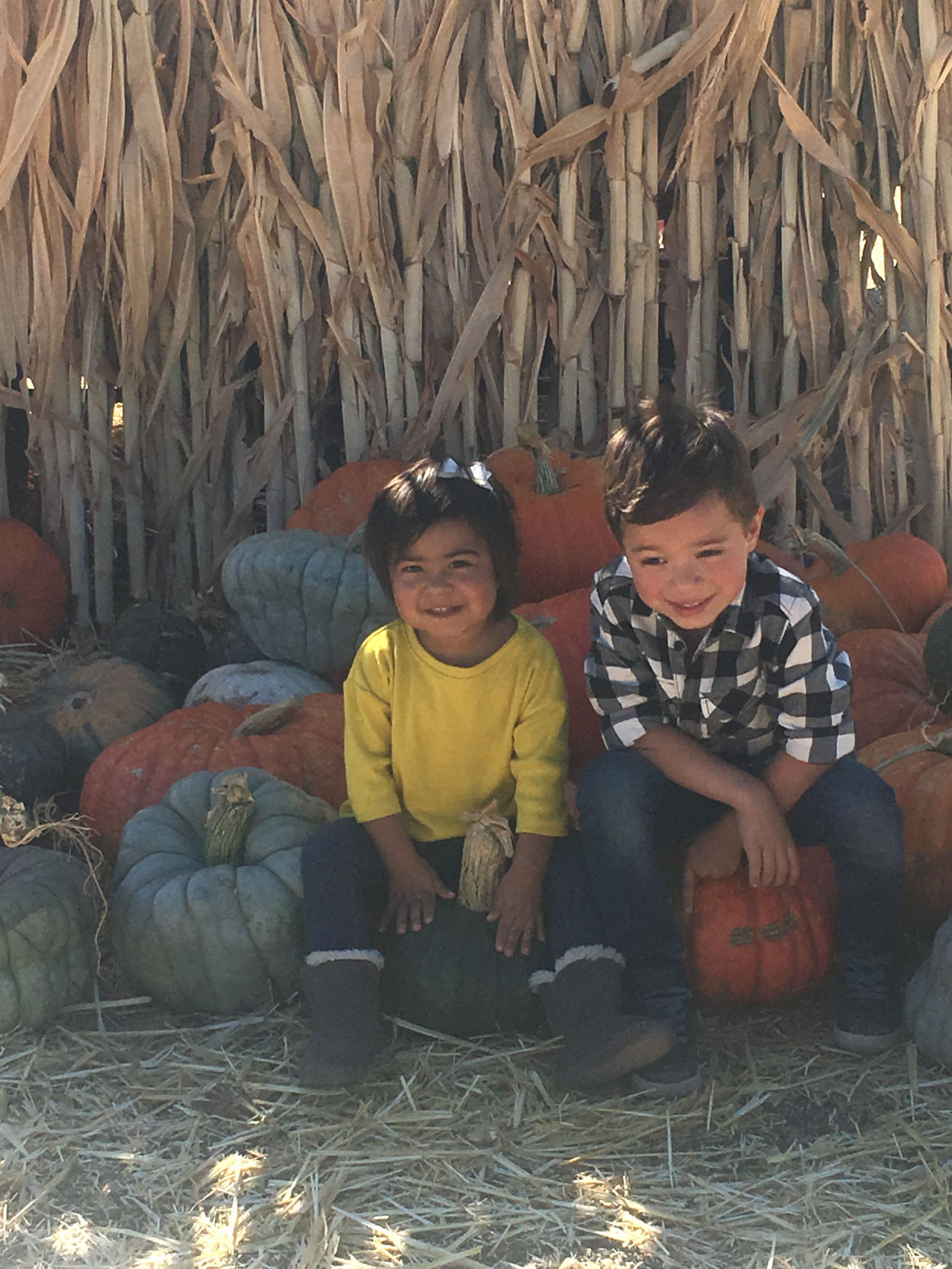 Picking Pumpkins 2017